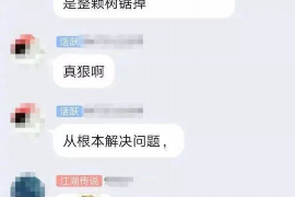 西青西青专业催债公司，专业催收